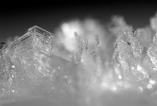 Снежные кристаллы поверхностной изморози