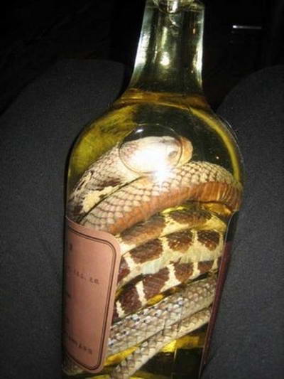 Для изготовления змеиного вина используются кобры и другие редкие вымирающие виды змей.