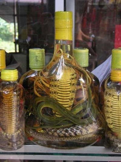 Для изготовления змеиного вина используются кобры и другие редкие вымирающие виды змей.