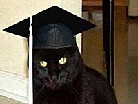 Колби Нолан (Colby Nolan) – это домашний кот, получивший диплом МБА в 2004 году, который был выдан ему Trinity Southern University, находящимся в Далласе.