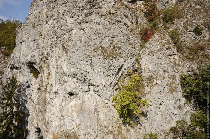 Моравский карст, Моравский Крас (чеш. Moravsky kras) — одна из самых больших в Европе карстовых пещер
