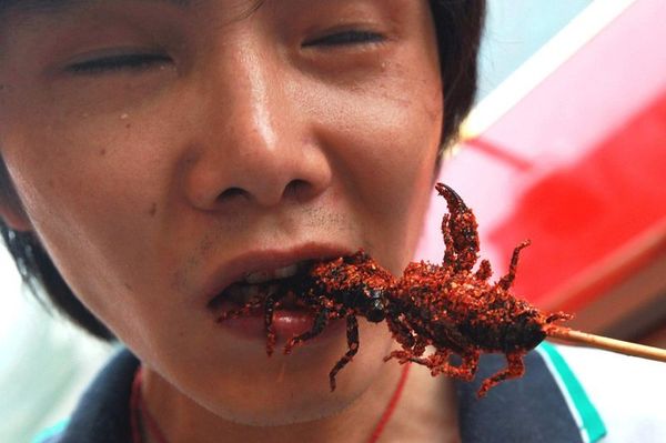 Употребление насекомых в пищу