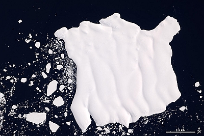 Айсберг ледника Мерц, вид из космоса (снимок НАСА).