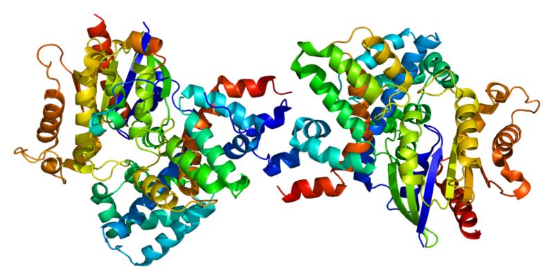 Структура белка, необходимого для работы палочек и колбочек. Трехмерная реконструкция.