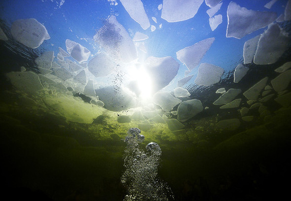 Космос подводного мира в фотографиях Александра Семенова