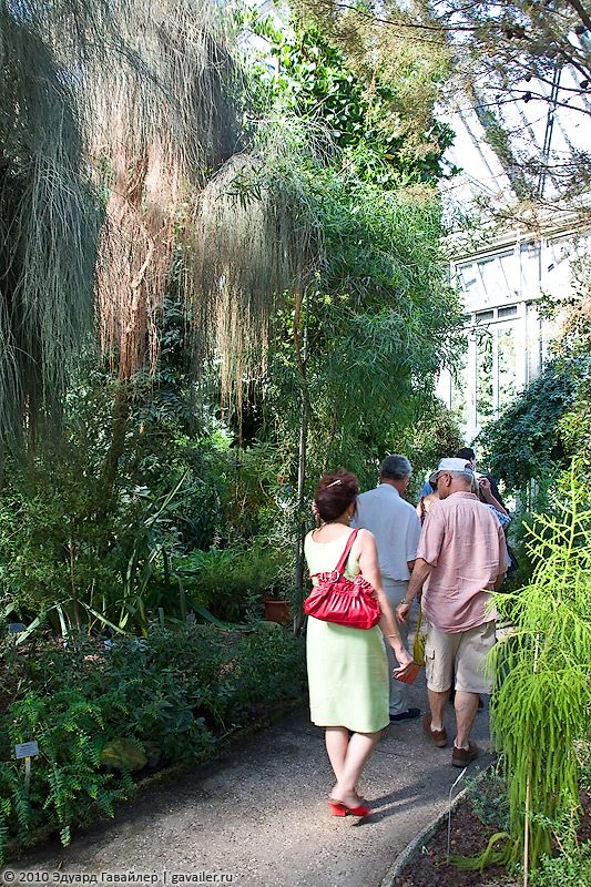 Крупнейший ботанический сад в Европе