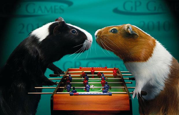 Guinea Pig Games 2010