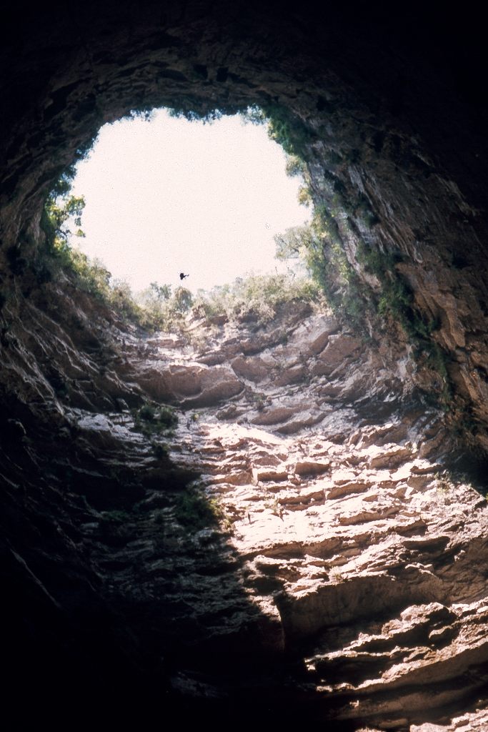 Пещера Ласточек в Мексике (Sotano de las Golondrinas)