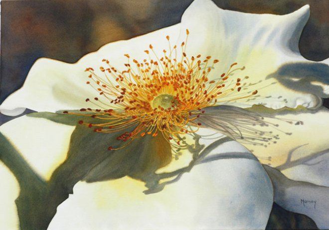 Цветы акварелью от Marney Ward