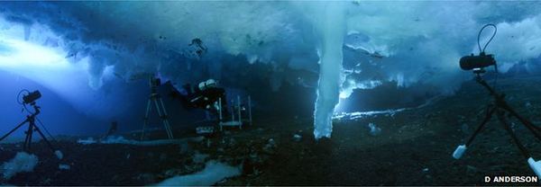  В Антарктике сняли фильм о ''ледяном палеце смерти''