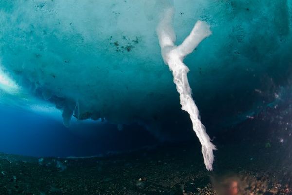  В Антарктике сняли фильм о ''ледяном палеце смерти''