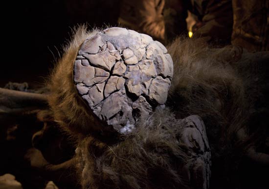 В Якутии найдена мумия мамотенка