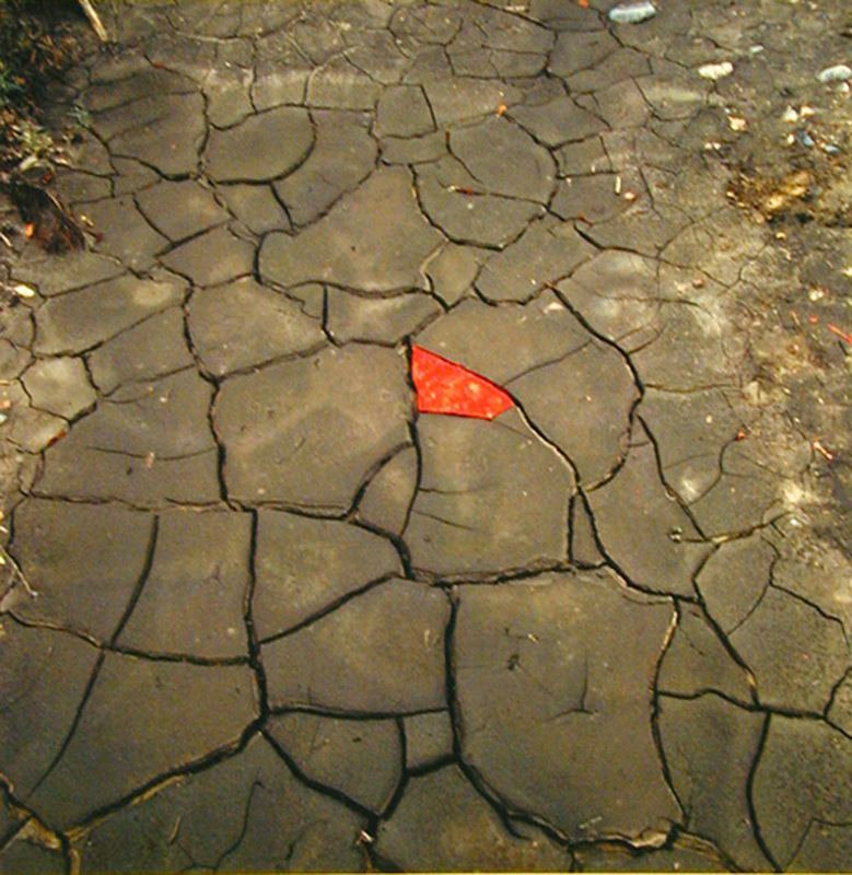 Природные инсталляции Энди Голдсуорти (Andy Goldsworthy)