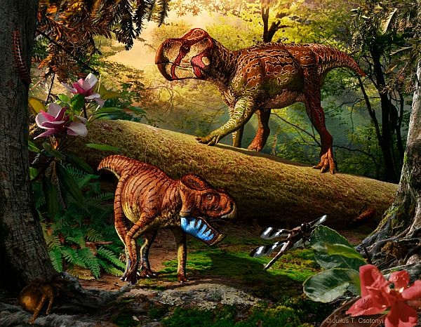 Рогатые динозавры, жившие 75 млн лет назад в канадской Альберте (изображение Julius T. Csotonyi).