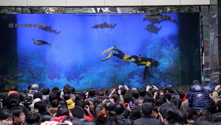 Гигантский аквариум с акулами лопнул, вызвав паникусреди посетителей