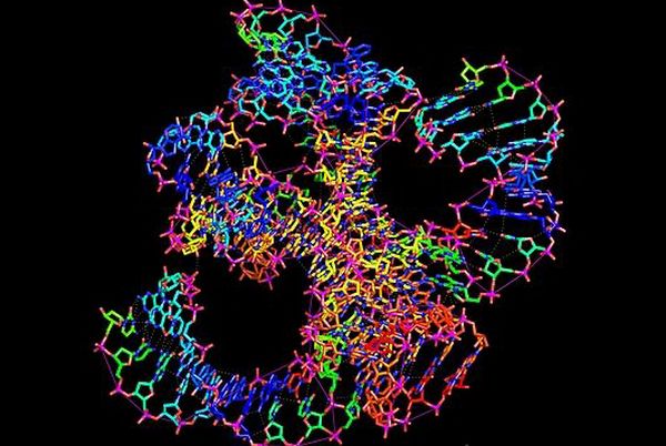 Схема молекулы рибозима. С похожих молекул могла начаться жизнь на Земле