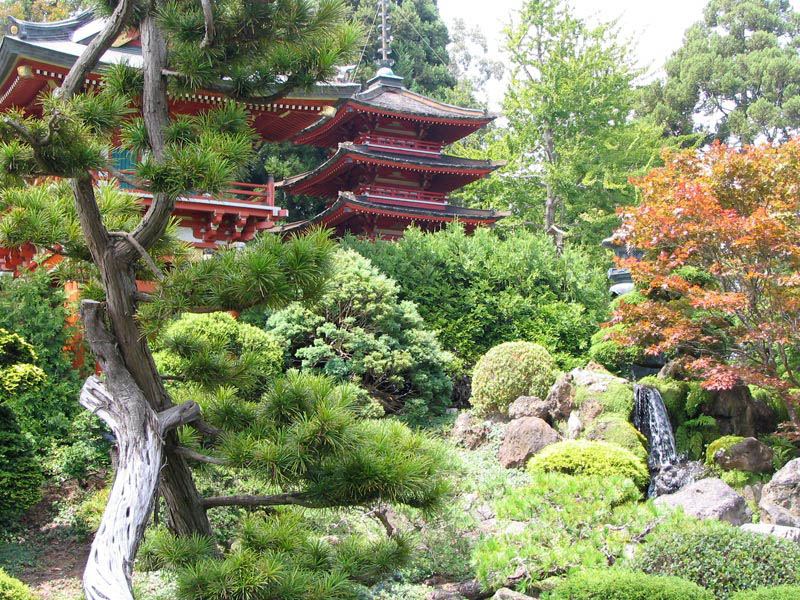 В лучших традициях Японского сада