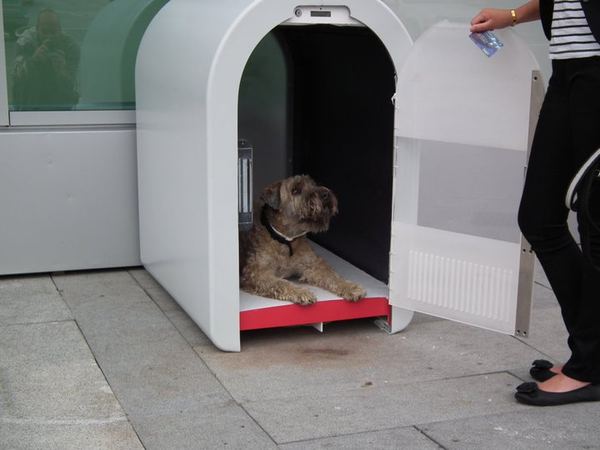 Dogbox, или парковка для собак Dogbox_2