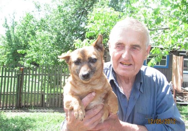 Днепропетровский пенсионер создал приют для собак