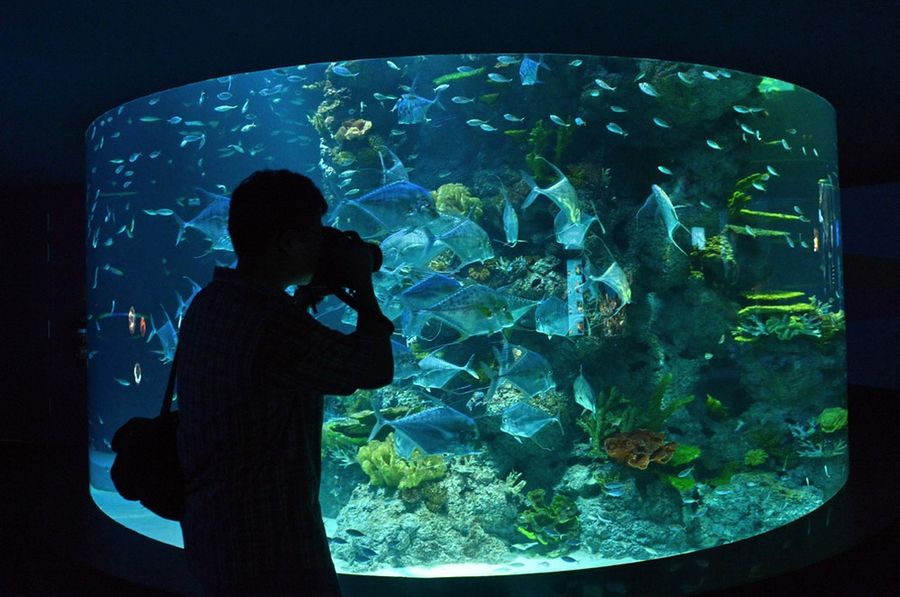 Marine Life Park — самый большой в мире океанариум