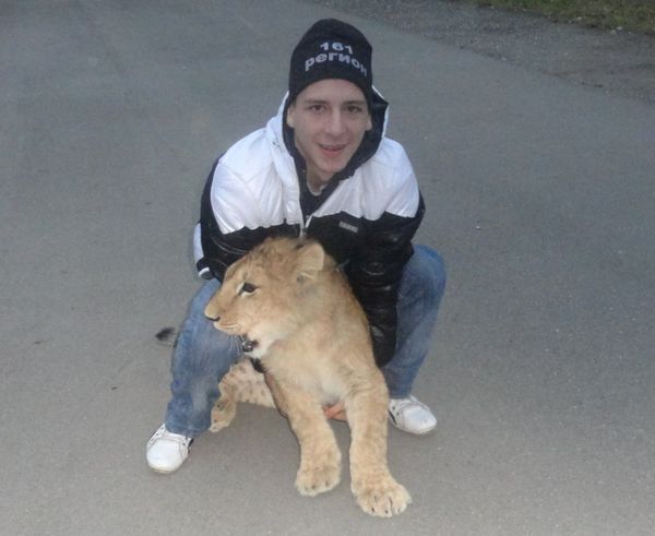 Девятикласснику Николаю Гапоненко удалось завести львёнка в здание школы, где «гостя» заперли в спортзале.
