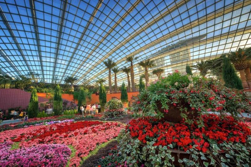 Сингапурские Сады у залива выиграли престижную награду «Здание года» на Всемирном архитектурном фестивале