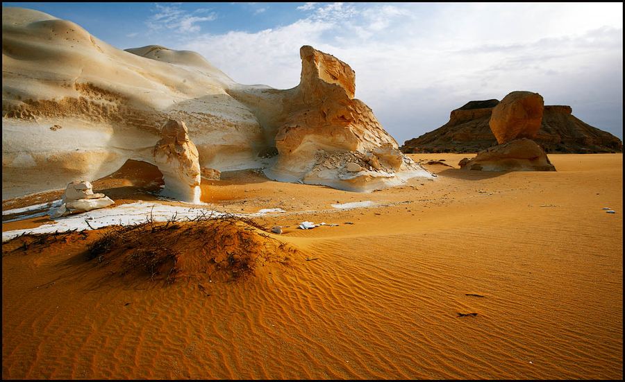 http://animalworld.com.ua/images/2012/September/Eco/Desert/White-Desert_29.jpg