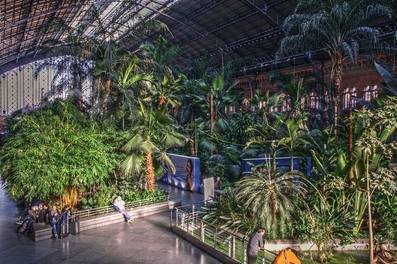 Тропический сад вокзала Аточа в Мадриде