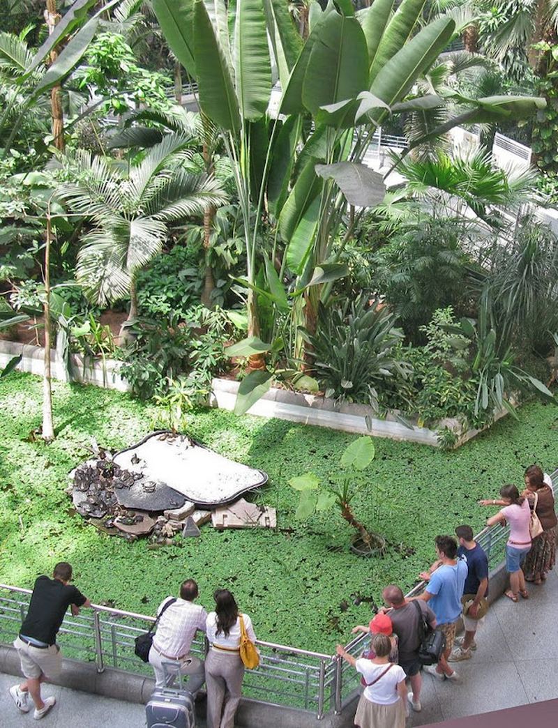 Тропический сад вокзала Аточа в Мадриде