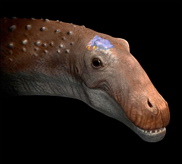 Хотя травоядный динозавр Ampelosaurus был одним из крупнейших в истории планеты, ему хватало крохотного мозга.