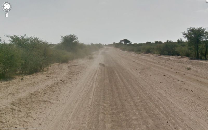 Гугломобиль обвинили в убийстве ботсванского осла