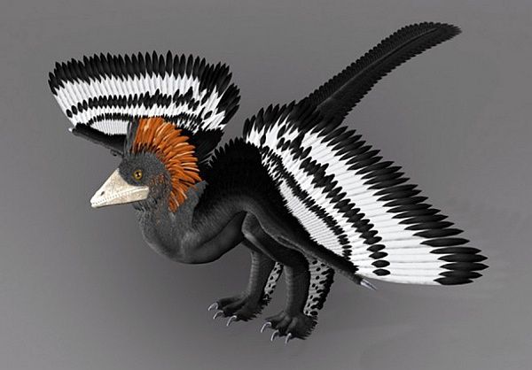 Anchiornis huxleyi, реконструкция Джейкоба Винтера и его коллег 