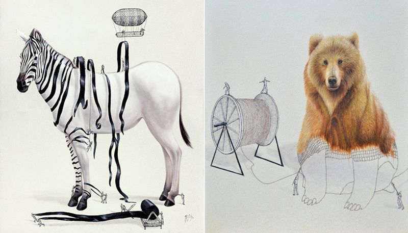 Иллюстрации, объясняющие откуда берется окрас шкуры животных