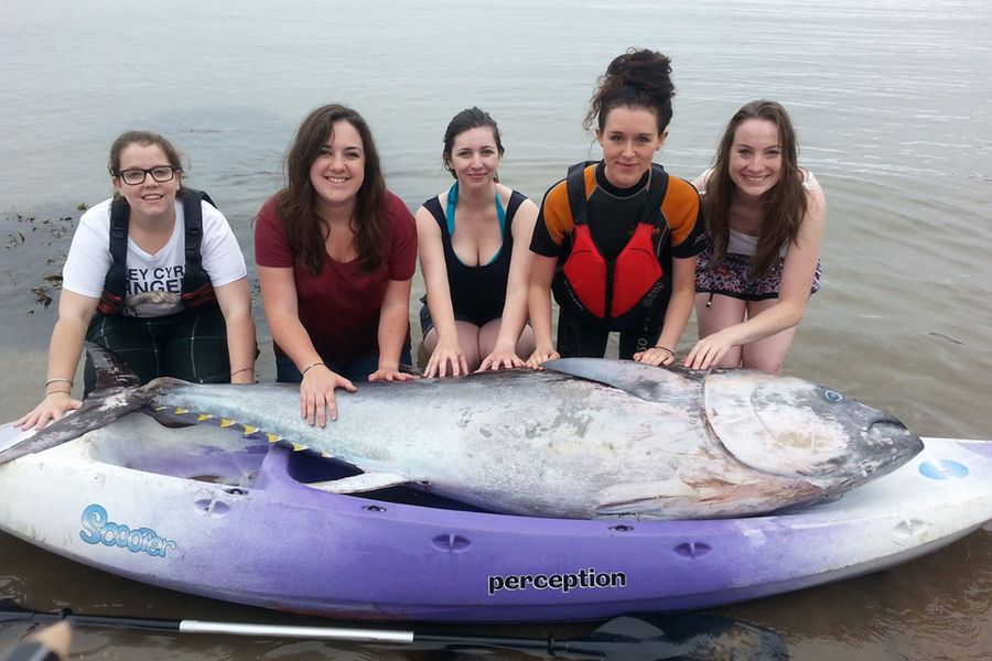 Британские туристки нашли голубого тунца стоимостью 1,7 млн долларов
