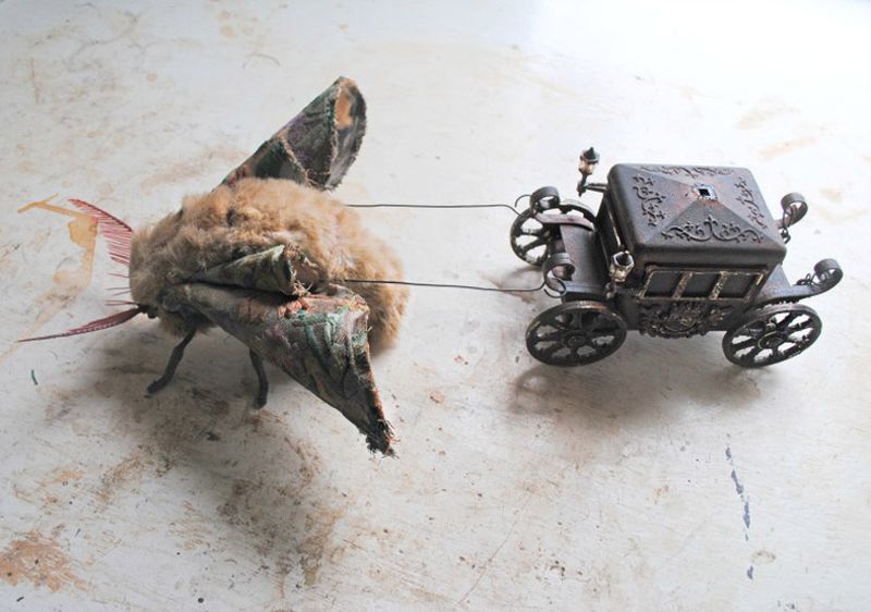 Псевдореалистичные животные и насекомые из текстиля художника Мистера Финча