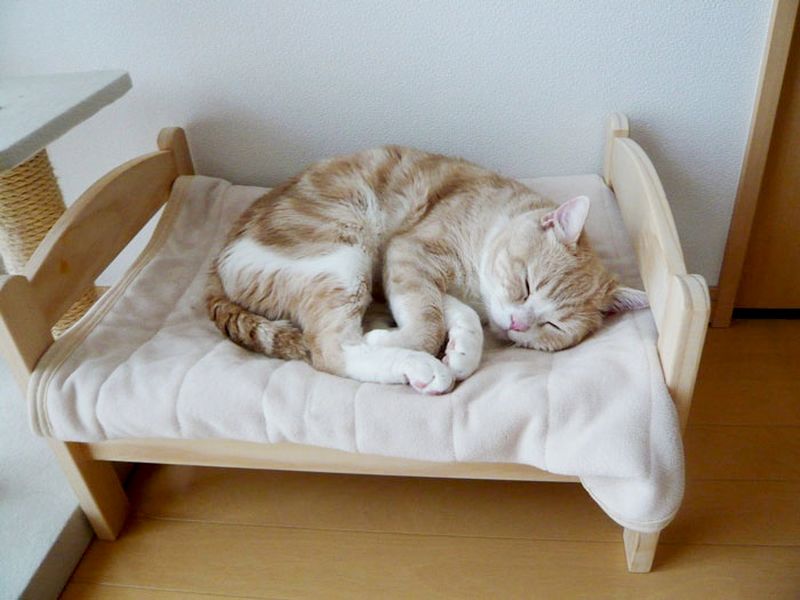 Деревянные кроватки для кошек и собак