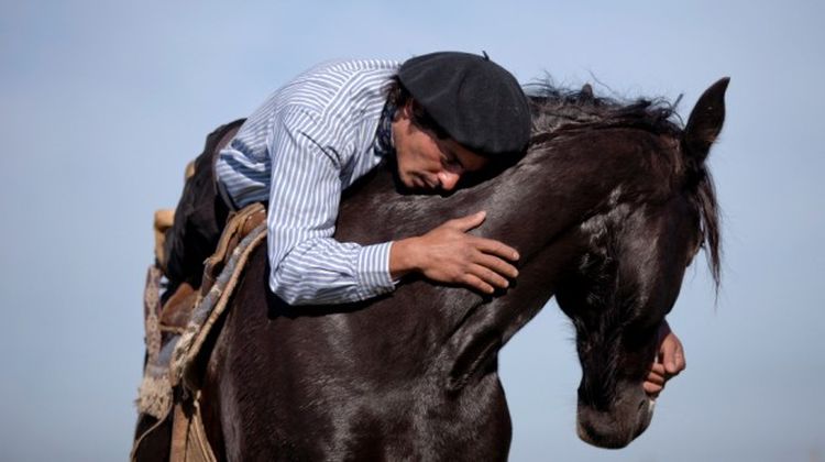 Мартин Татта - заклинатель лошадей из Аргентины