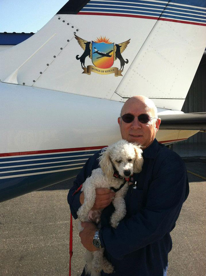 Лётчики-волонтёры спасают бездомных собак от усыпления, доставляя их новым хозяевам за тысячи километров