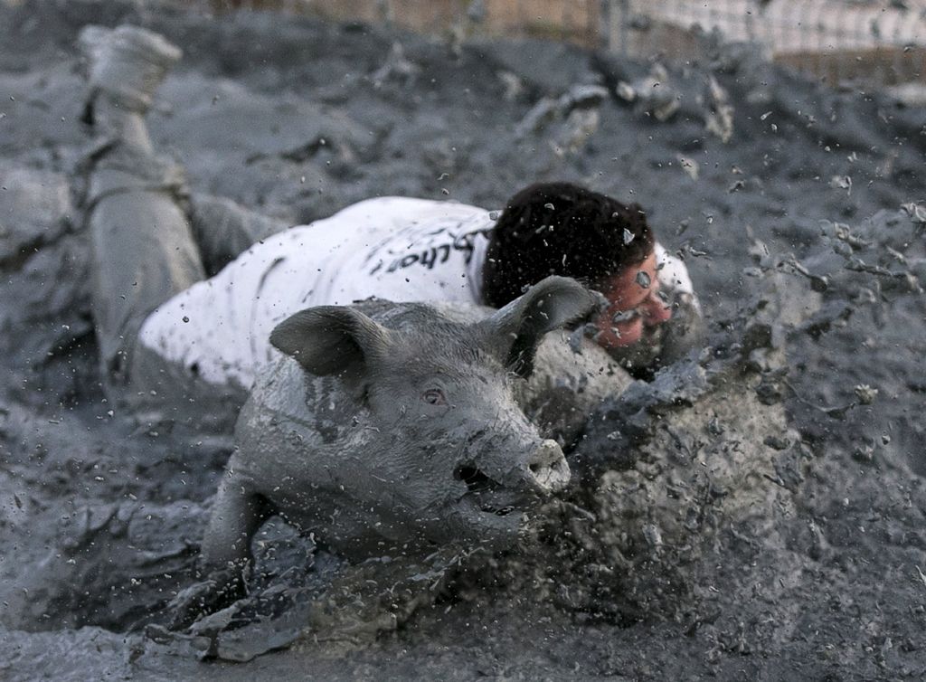 Борьба в грязи со свиньями