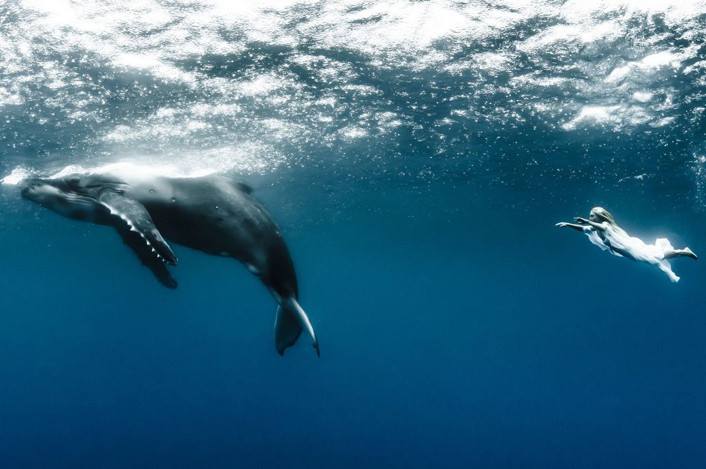 Подводные танцы с китами