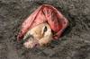 ЧИЛИ 9 ДНЕЙ СПУСТЯ