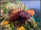 8 июня отмечается всемирный день океанов (world ocean day)