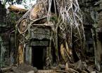 Гармония дерева и камня храма та пром, окрестности сием рипа, камбоджа