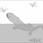 В древности гигантские саламандры гуляли по суше