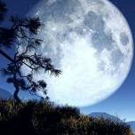 Супер луна в ночь на воскресенье будет самой яркой и большой за год