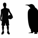 Ученые узнали о существовании пингвинов ростом с баскетболиста