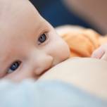 Стволовые клетки из материнского молока достраивают организм ребенка