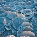 Ниласовые льды: блинчатый лед (pancake ice)