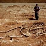 Смитсоновский институт признал уничтожение тысяч скелетов гигантов