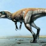 "Коготь-Молния" - крупнейший хищный динозавр австралии